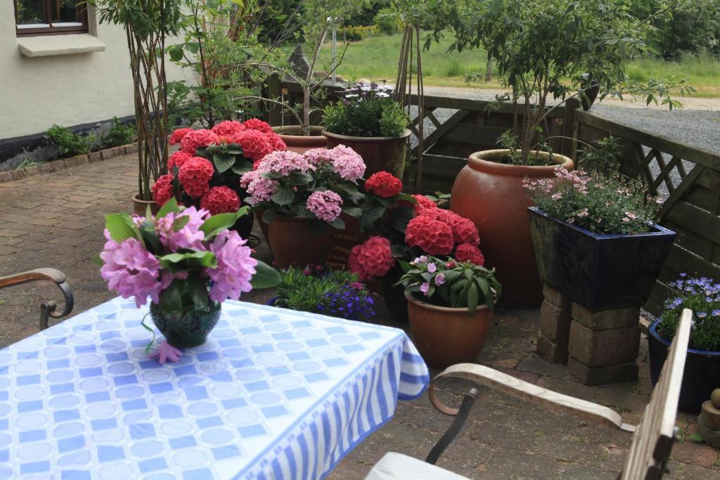 Bed & Breakfast Horsens Ngoại thất bức ảnh